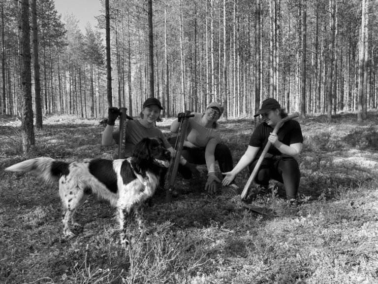 Gullstén-Inkinen tiimi